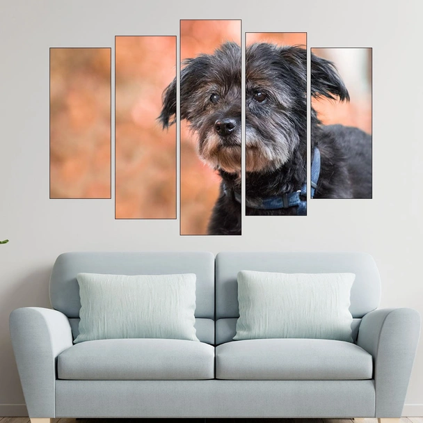 Потрет на черно куче - картина пано за стена - Image 3