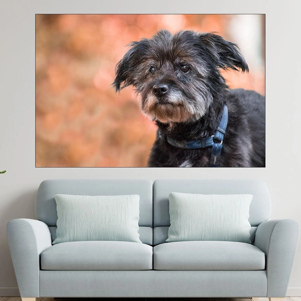 Потрет на черно куче - картина пано за стена