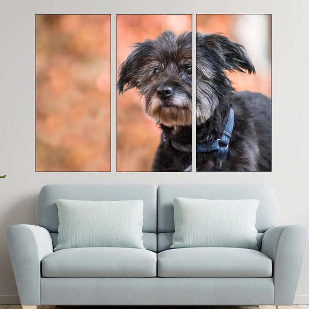 Потрет на черно куче - картина пано за стена - Image 2