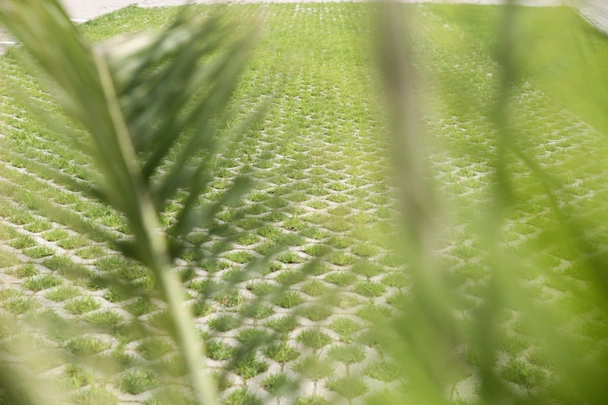 Паркинг решетка Pavaje Eco 60х40x10 см PETRA PAVAJE - Image 3