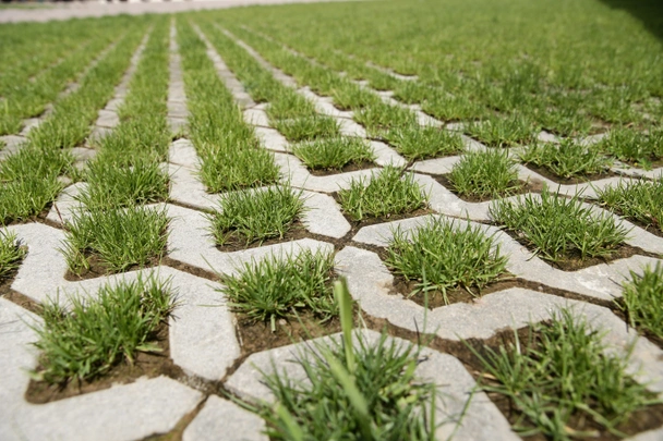 Паркинг решетка Pavaje Eco 60х40x10 см PETRA PAVAJE - Image 5