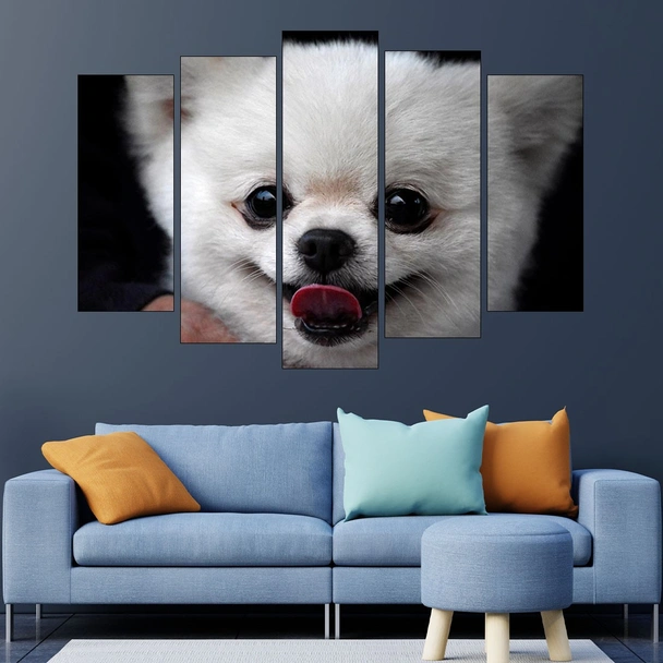 Портрет на малък Померан - картина пано за стена - Image 3