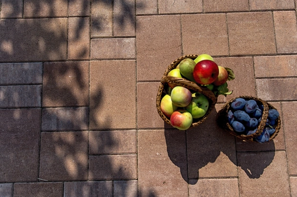 Външна настилка - Mediterana Terra 20x10x6 см - Petra Pavage - Image 3