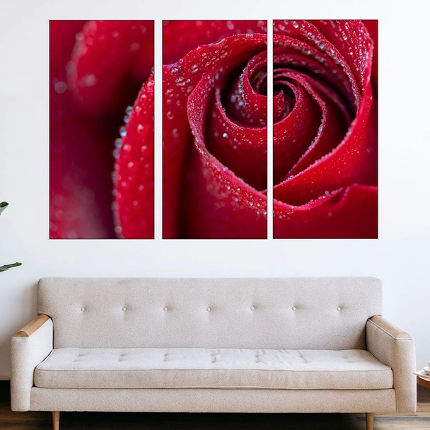 Роса по червена роза - картина пано за стена - Image 2
