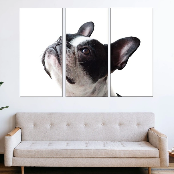 Портрет на френски булдог - картина пано за стена - Image 2