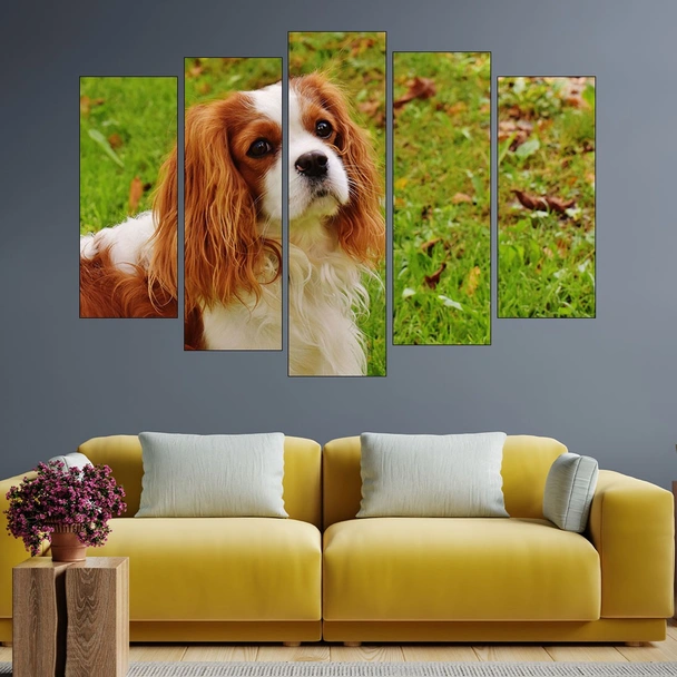 Шпаньол в близък план - картина пано за стена - Image 3