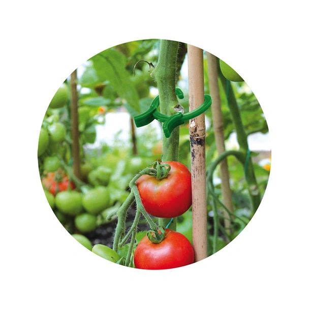 Скоби за растения 45 бр. 3 размера BRADAS - Image 2