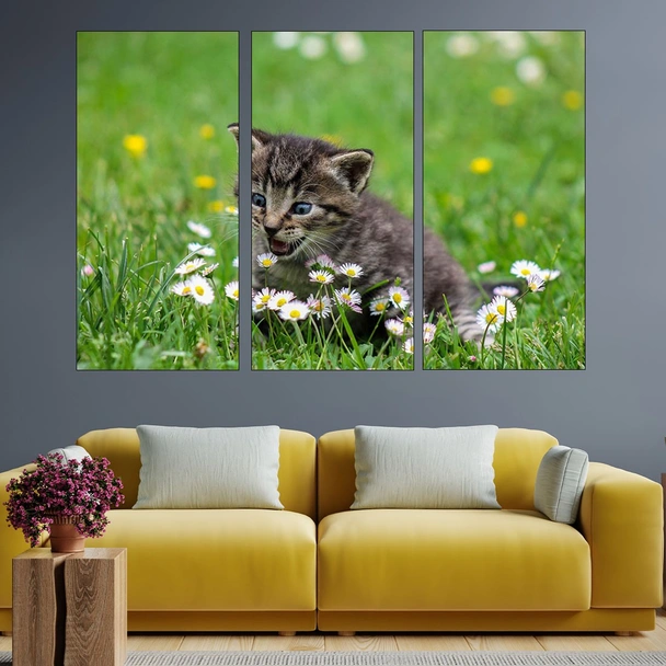 Коте и маргаритки - картина пано за стена - Image 2