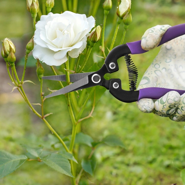 Ножица за цветя с метални гумирани дръжки 180 мм PALISAD - Image 10