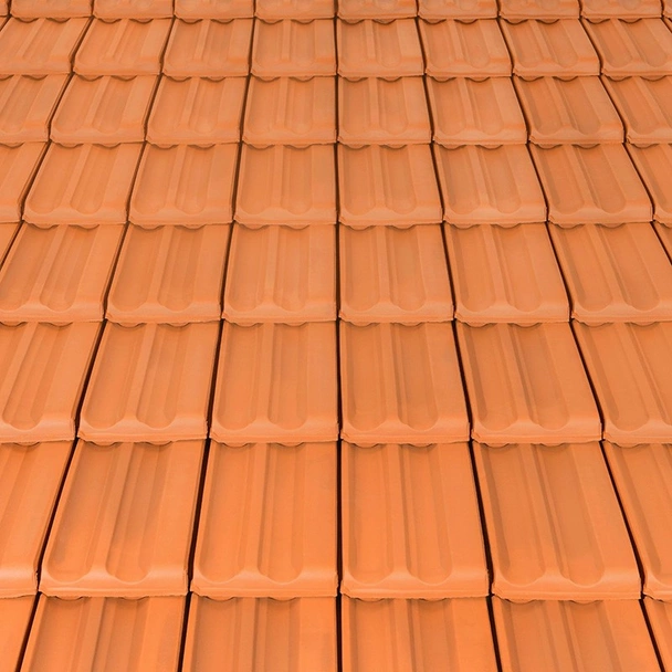 Керемида Traditon 12 естествен цвят 255x435 мм TONDACH - Image 2