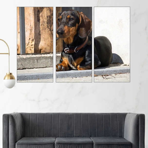 Портрет на Дакел - картина пано за стена - Image 2