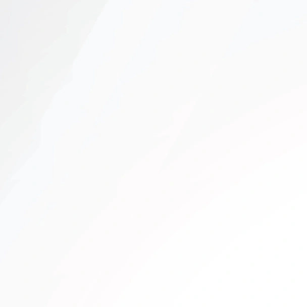 PVC ламперия 25 см 8 мм 3 м бял лак VILO - Image 2