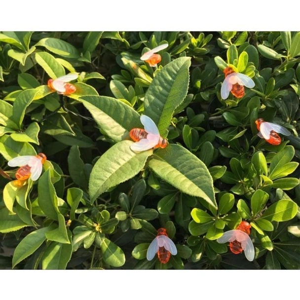 Соларен LED гирлянд Пчелички 20 лампички MY GARDEN - Image 3