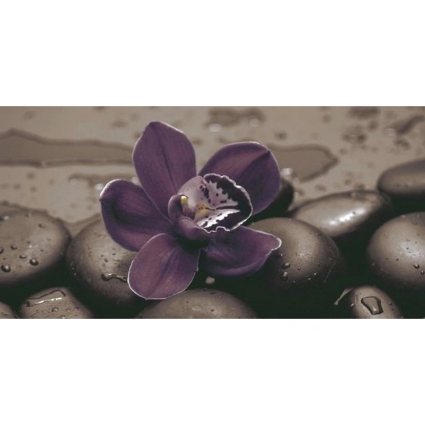 Декор 25x50 см Тъмна oрхидея Neos 5518 KAI