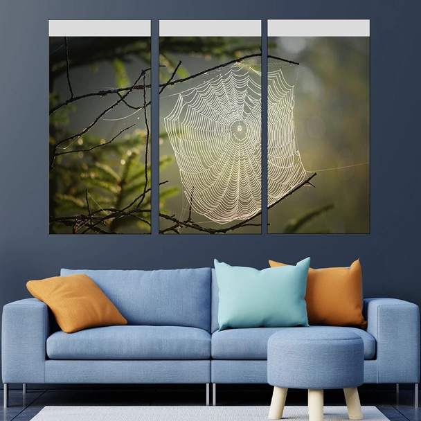 Паяжина в гората - картина пано за стена - Image 2