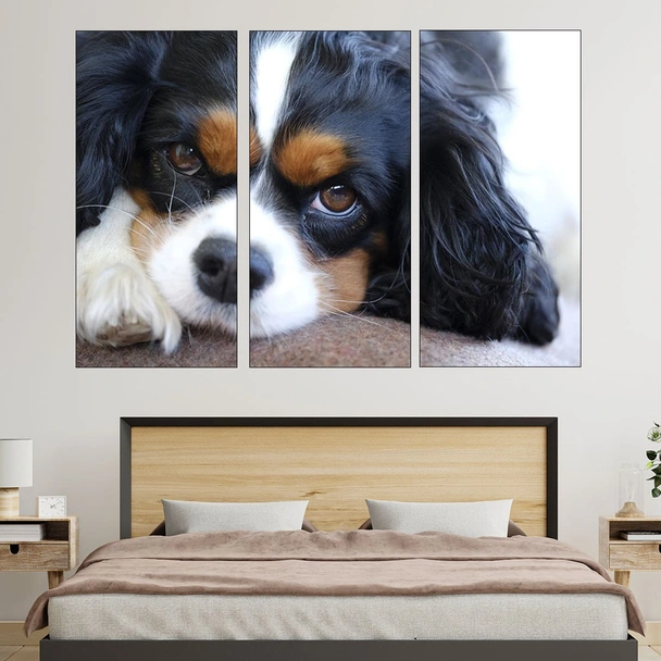 Легнал кавалер кинг чарлз шпаньол - картина пано за стена - Image 2