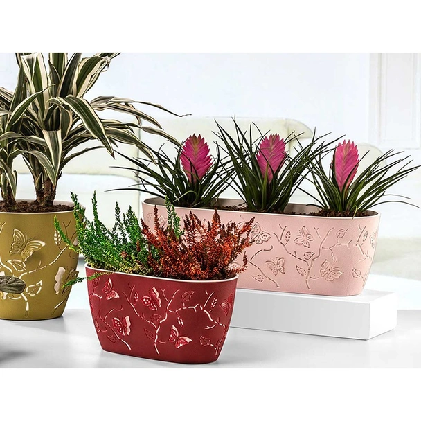 Сандъче 3D Пеперуди 47 см RG - Image 8