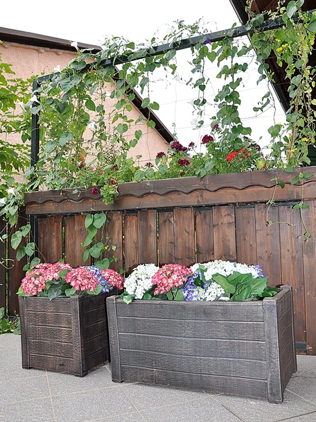 Саксия Теак S - Image 4