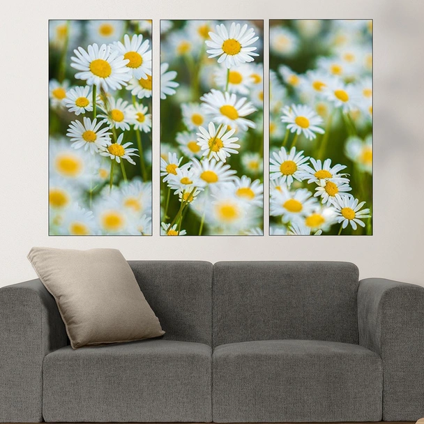 Поляна с бели маргаритки - картина пано за стена - Image 2