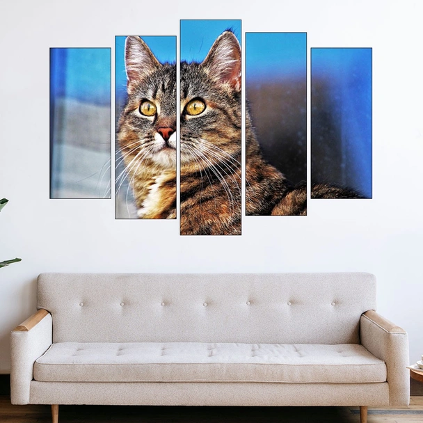 Портрет на улична котка - картина пано за стена - Image 3