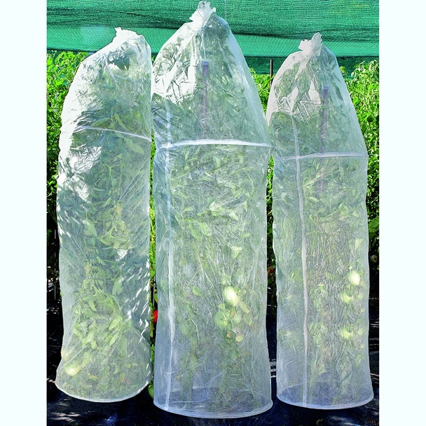 Предпазно покривало за домати ø40x150 см 3 бр. HERLY - Image 2