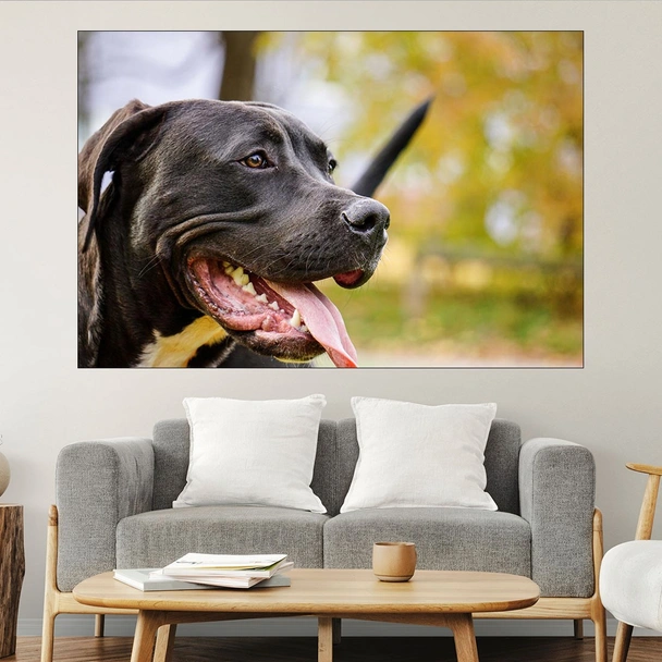 Портрет на черен Питбул - картина пано за стена