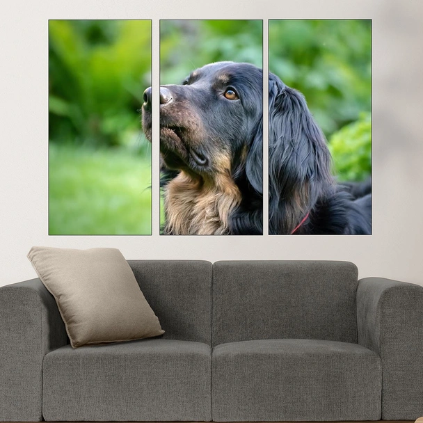 Потрет на черен Ховаварт  - картина пано за стена - Image 2