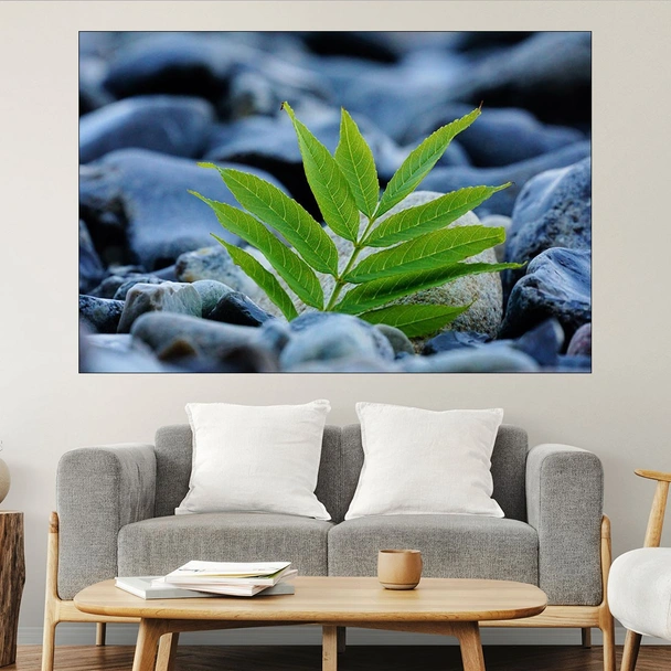 Зелено листо между камъни - картина пано за стена
