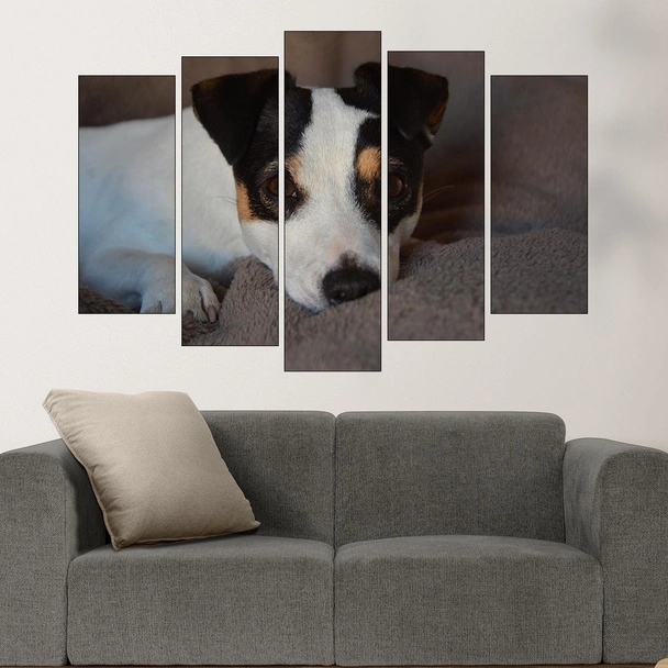 Игрив малък джак ръсел - картина пано за стена - Image 3
