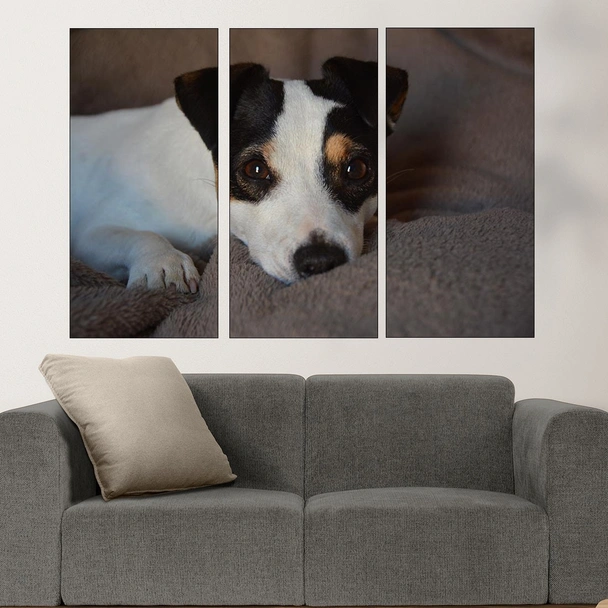 Игрив малък джак ръсел - картина пано за стена - Image 2