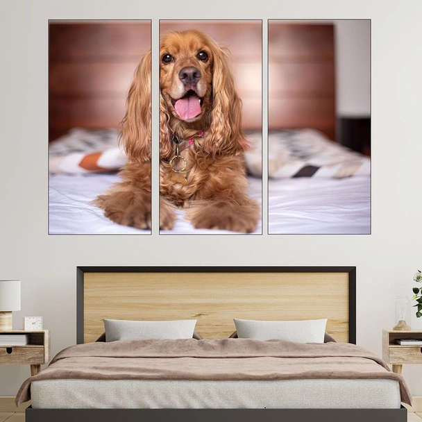 Портрет на Английски Кокер Шпаньол - картина пано за стена - Image 2