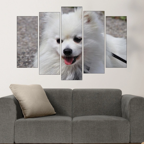 Потрет на бял шпиц  - картина пано за стена - Image 3