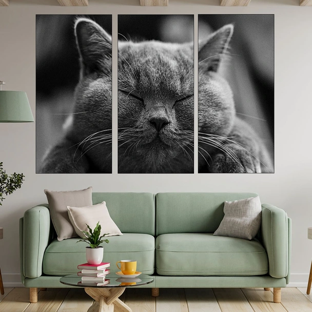 Дремеща сива котка - картина пано за стена - Image 2