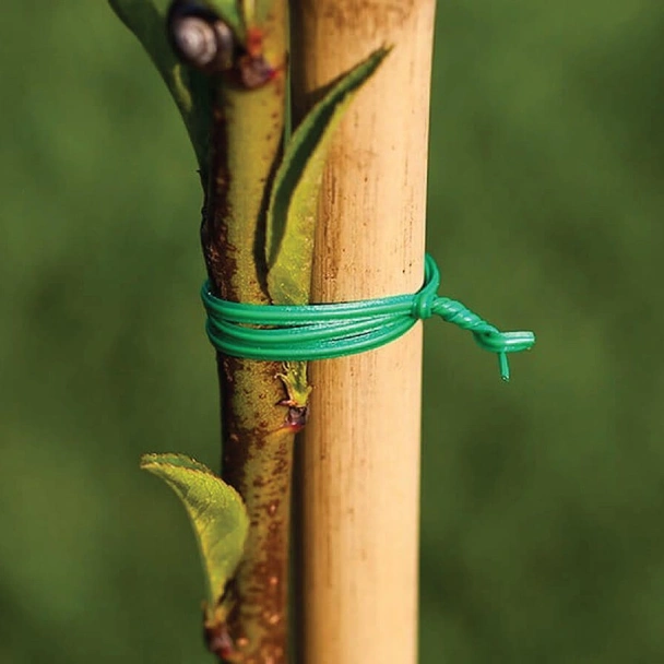 Градинска тел за връзване 25 см 100 бр. зелена BRADAS - Image 2