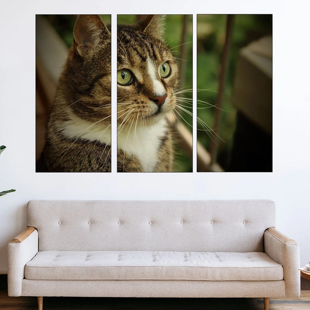 Портрет на домашна котка  - картина пано за стена - Image 2