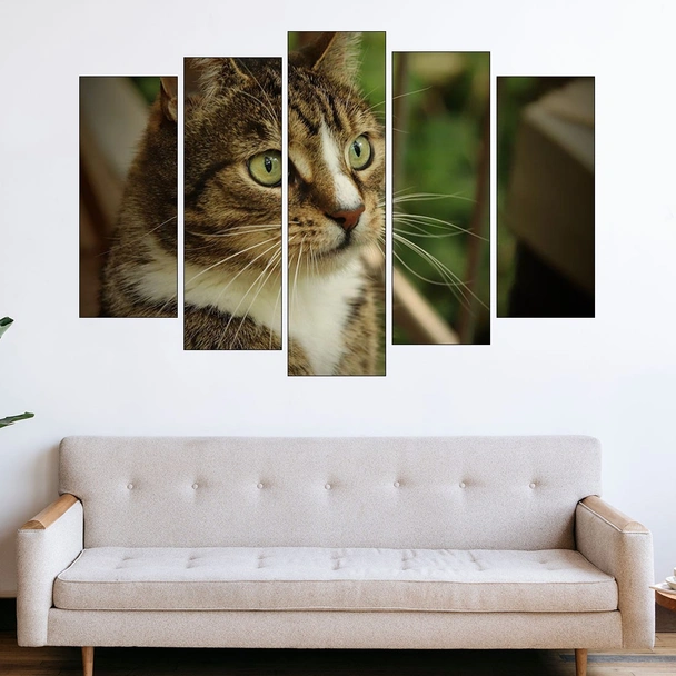 Портрет на домашна котка  - картина пано за стена - Image 3