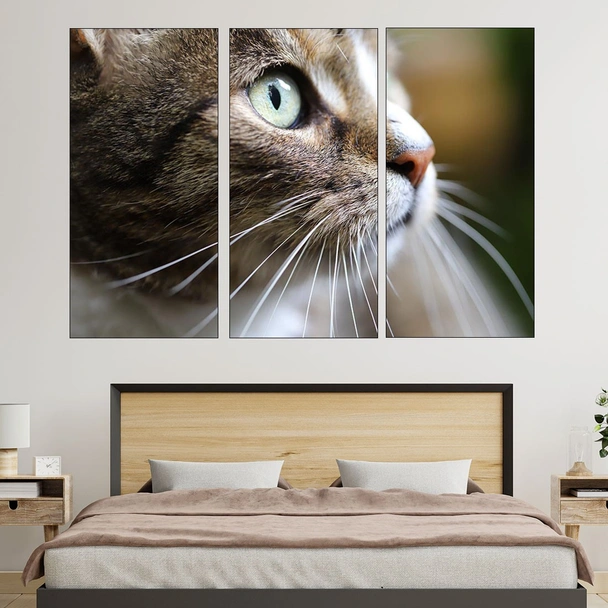 Макро снимка на коте - картина за стена - Image 2
