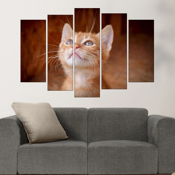 Малко оренжево коте  - картина пано за стена - Image 3