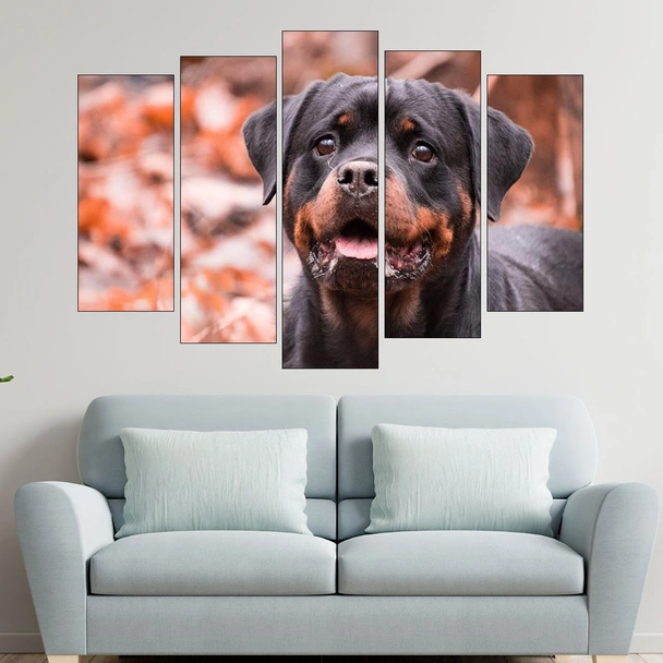 Портрет на малък ротвайлер - картина пано за стена - Image 3