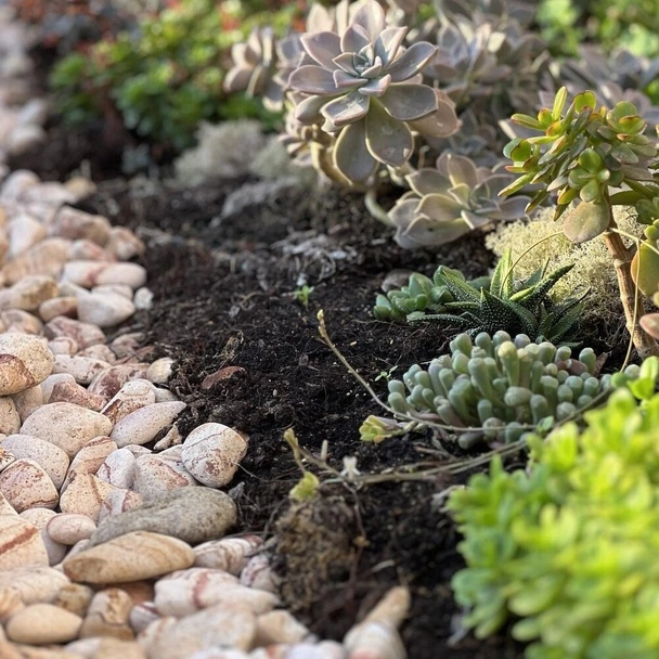 Декоративни камъни Дъга 2-4 см - Image 3