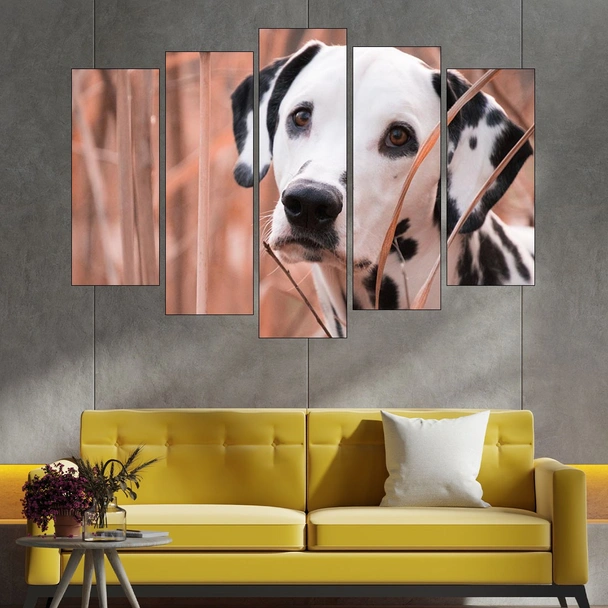 Далматинец -портрет - картина пано за стена - Image 3