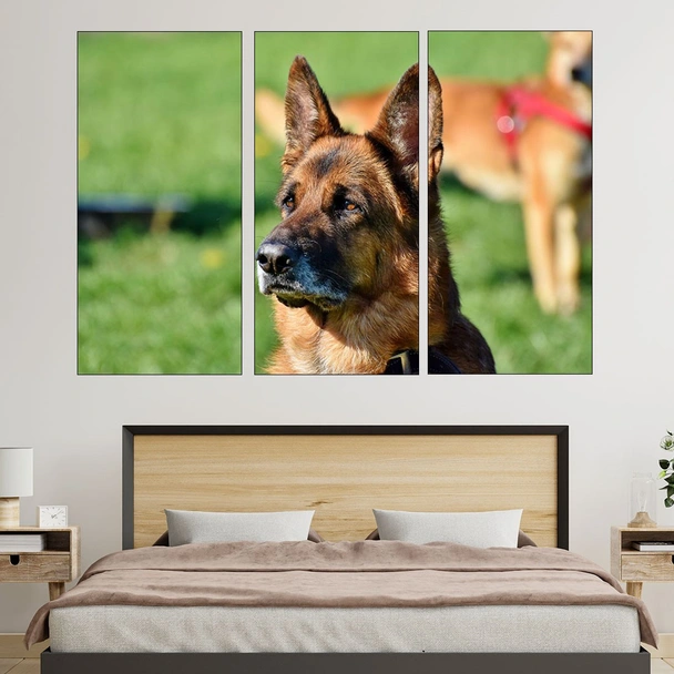 Портрет на немска овчарка - картина пано за стена - Image 2