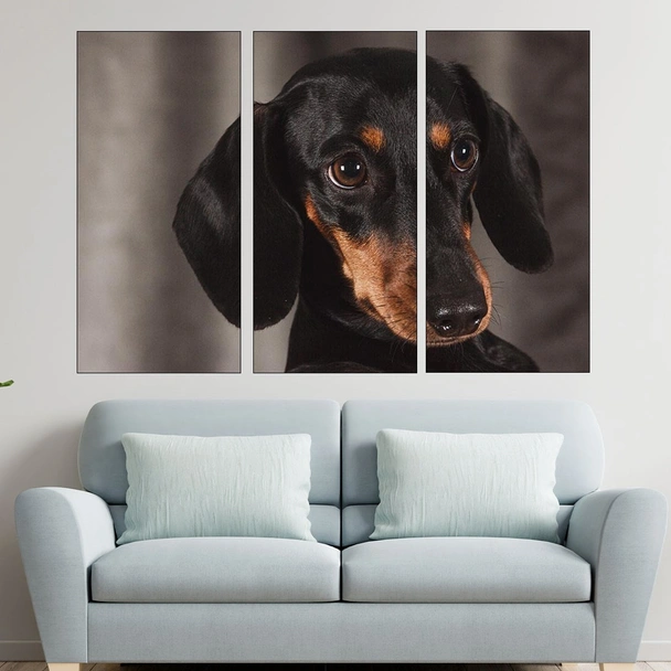 Дакел - портрет в близък план - картина пано за стена - Image 2