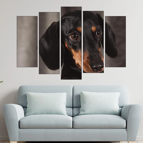 Дакел - портрет в близък план - картина пано за стена - Image 3