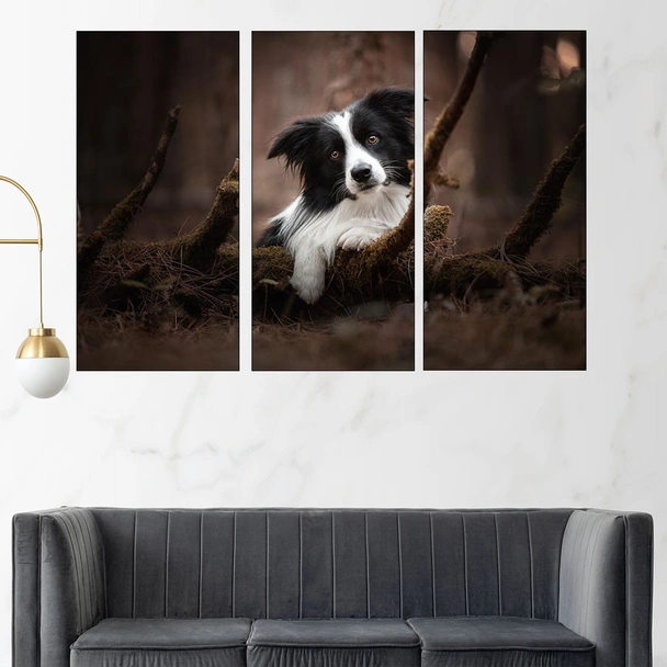 Портрет на черно -бяло куче - картина пано за стена - Image 2