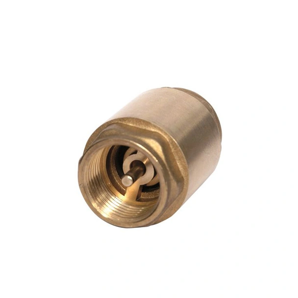 Възвратен вентил пружинен с месингов диск 2"