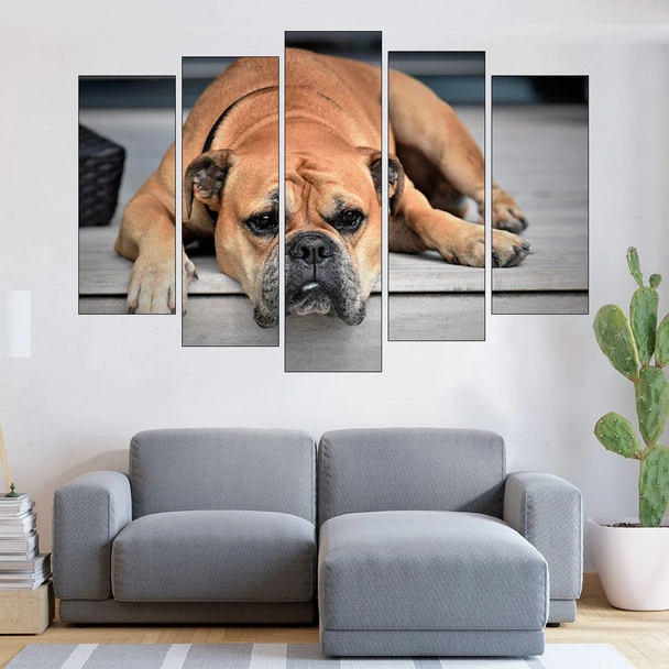 Легнал булдог - картина пано за стена - Image 3