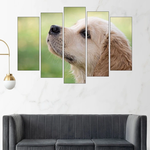 Малък голдън ретривър - картина пано за стена - Image 3