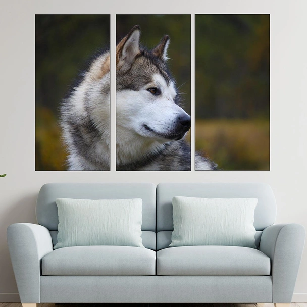 Портрет на Аляски маламут - картина пано за стена - Image 2