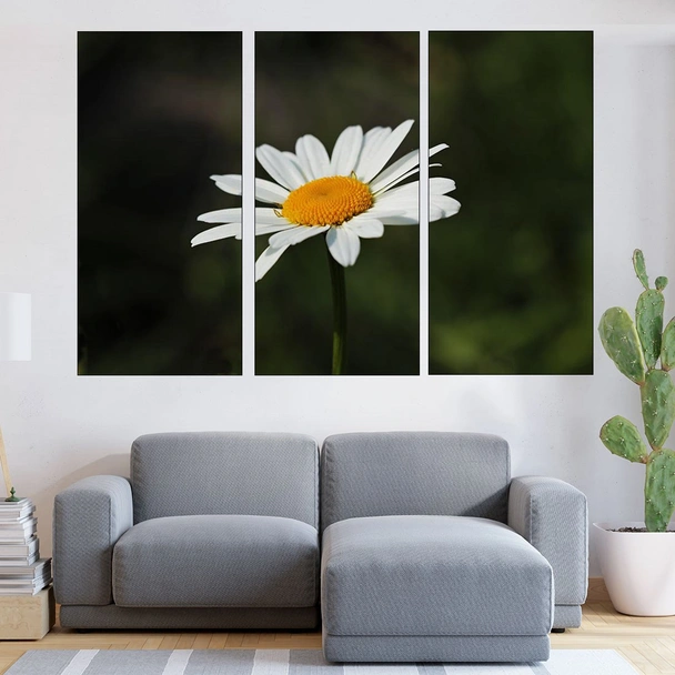 Цъфнала бяла маргаритка - картина пано за стена - Image 2
